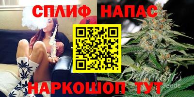 ПСИЛОЦИБИНОВЫЕ ГРИБЫ Аргун