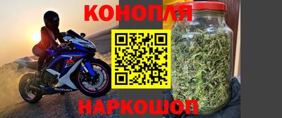 ПСИЛОЦИБИНОВЫЕ ГРИБЫ Аргун