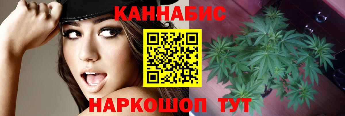 Благодарный  Конопля MAZAR  Бошки Шишки MAZAR  Вход с VPN 